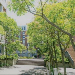 Web OPEN CAMPUS<br>�I�[�v���L�����p�X�m�E�F�u�Łn