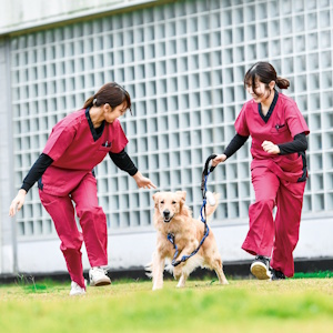 Open Campus�y��t�L�����p�X�z