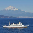 �C�O���C�q�C