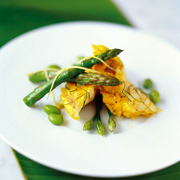 �a�m���A���ِ��p���̑S�Ă��w��