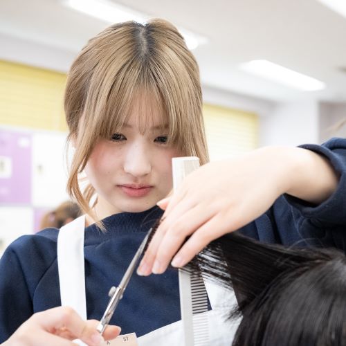 ���C���ʐ^