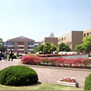 ���ƌ�A��w�ғ�������