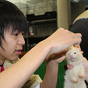 ���瓮���͌��L�ȊO��82��170�C�I