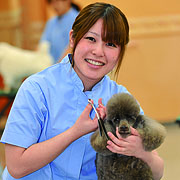 �L���C�I�J���C�C�I����e���K��