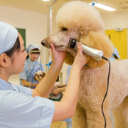 �O���[�~���O�Z�p���C��