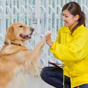 �󋵂ɉ������g���[�j���O���s��