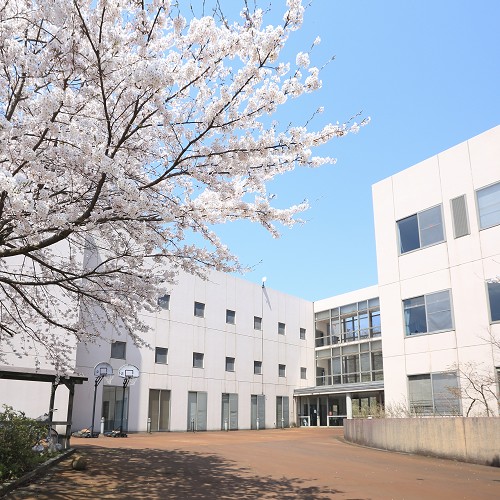 ���C���ʐ^