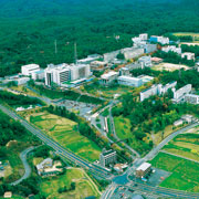 ��66�����Ă̔����L�����p�X