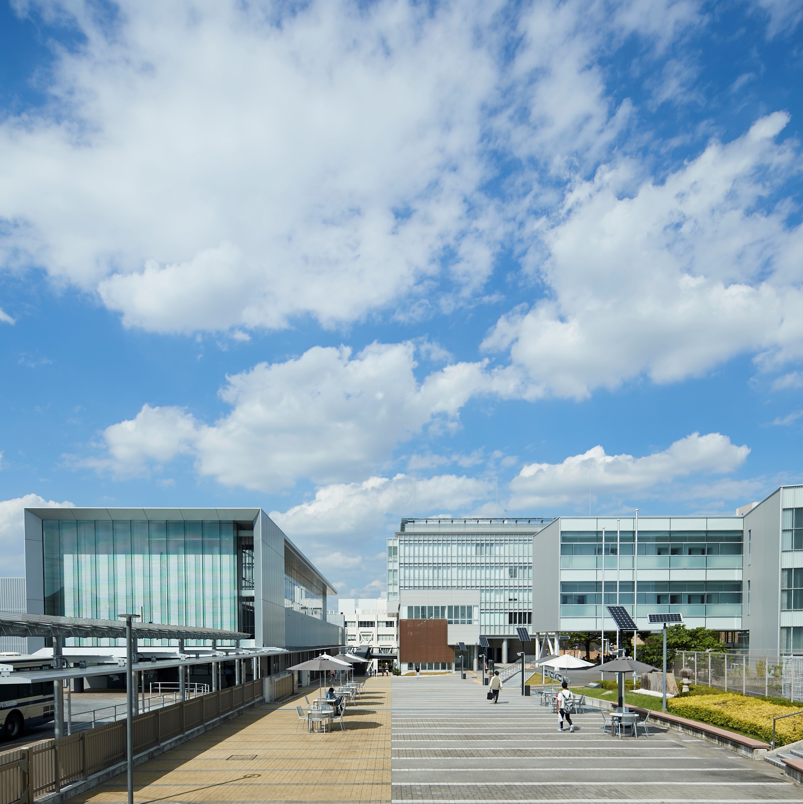 ���C���ʐ^