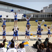 �V�������}�t�F�X�e�B�o���J�ÁI