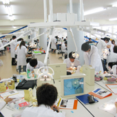 �M������鎕�Ȉ�t���琬�B