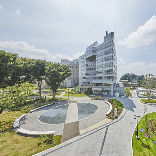 ���C���ʐ^