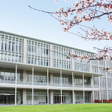 ���C���ʐ^