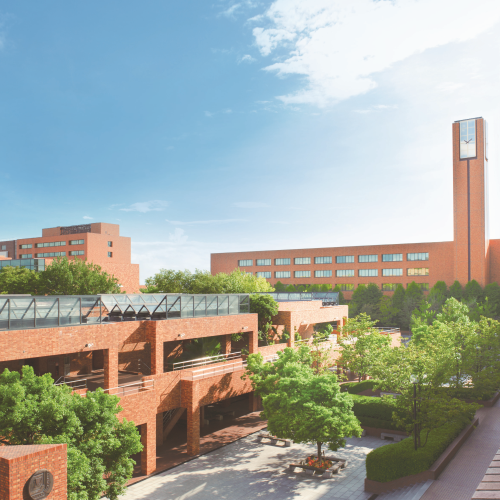 ���C���ʐ^