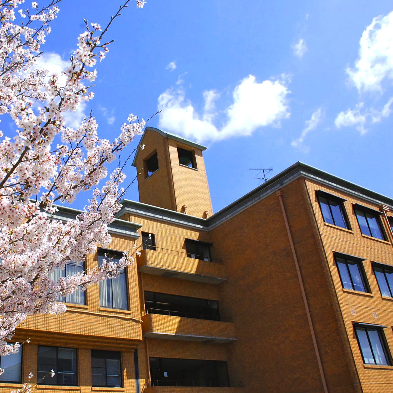 �J�������ӂ��O�؃L�����p�X