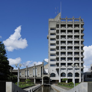 ���C���ʐ^