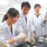 ��H�A�g�̌����Ȃǂ�����