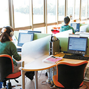 ������p�̊�������悤�Ȃ���