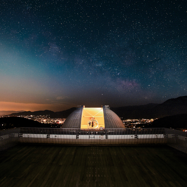 ���C���ʐ^