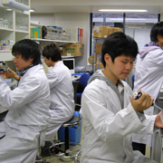 �[���̐ݔ��ōŐ�[�̌���