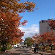 �l�G��������؁X����L�����p�X