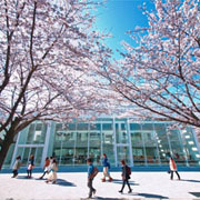 Active Learning�̊w�ю�