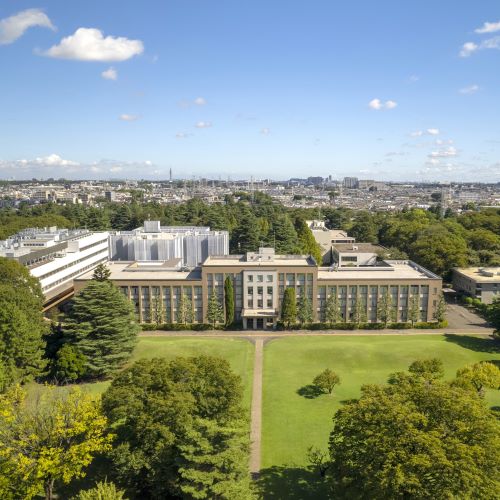 ���C���ʐ^