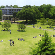 �ΖL���ōL�X�Ƃ����L�����p�X