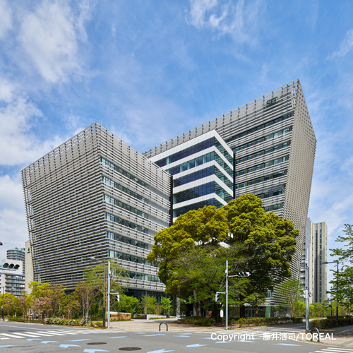 ���C���ʐ^