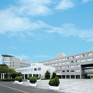 ���C���ʐ^