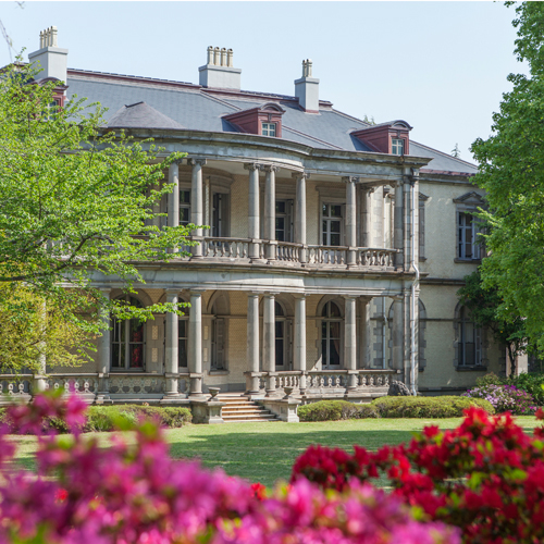 ���C���ʐ^