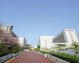 ���F��v�m�������i�Ґ��S��3�ʁI*