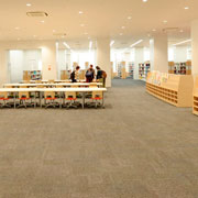 �}���فF100�����𒴂���ۗL����