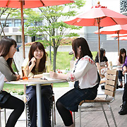 �w�����W���e���̏�[�|���[�j�A]