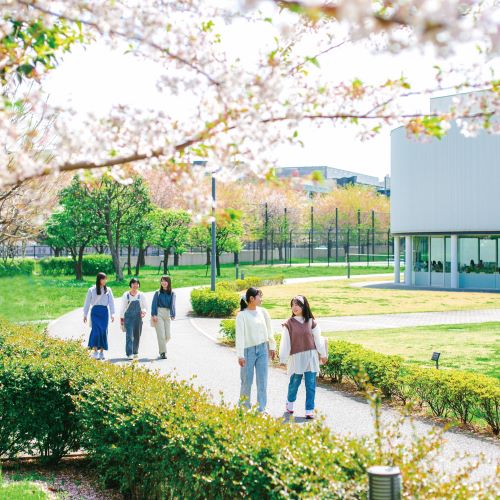 ���C���ʐ^