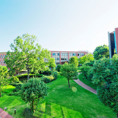 ���C���ʐ^