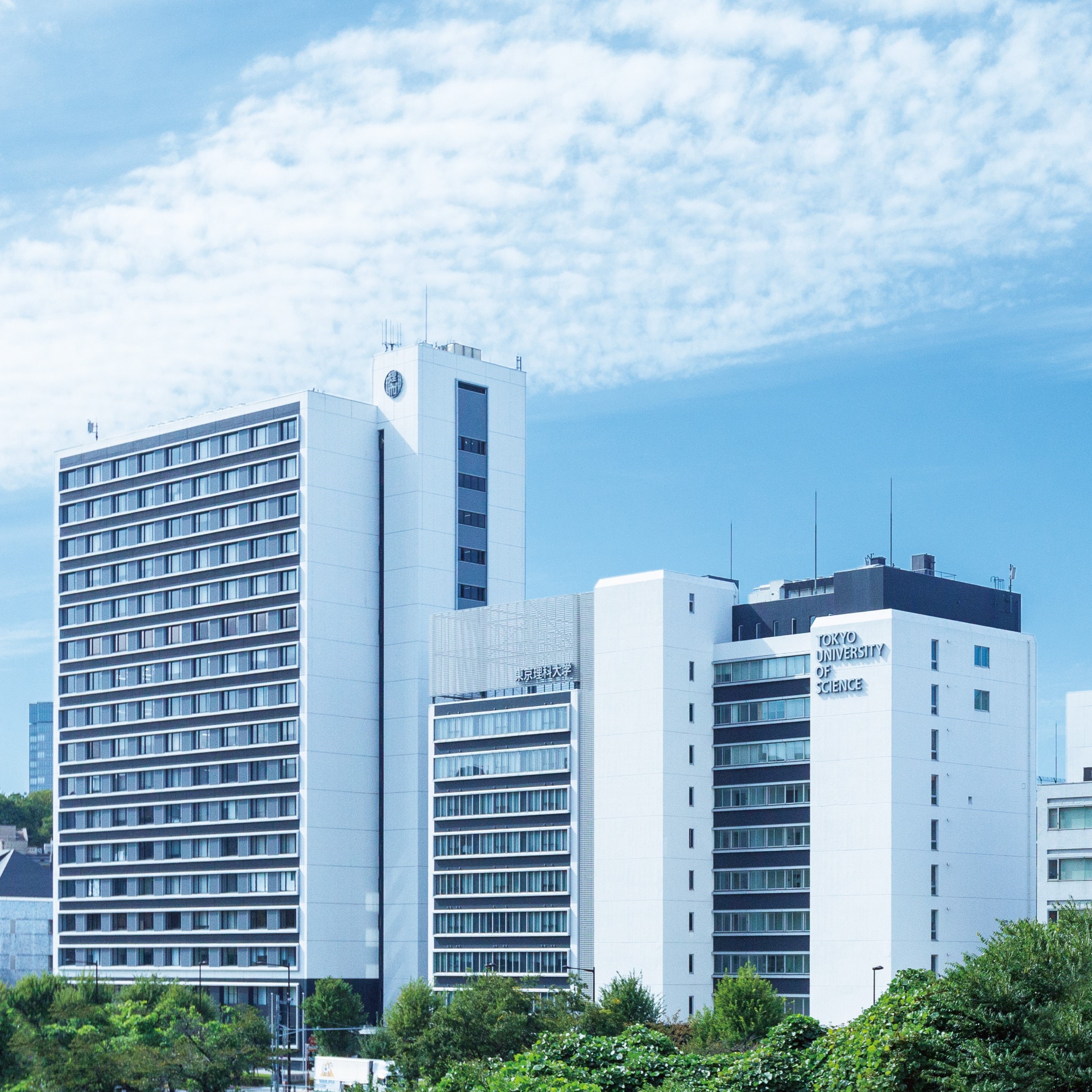 ���C���ʐ^