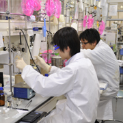 ���L������Ō������s���Ă��܂�