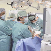 �����̑����ɂӂ��Տ����K