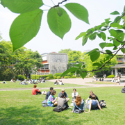 �Ő��Ɩؗ����L����O���[���G���A