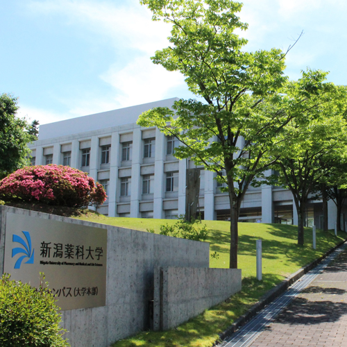 ���C���ʐ^