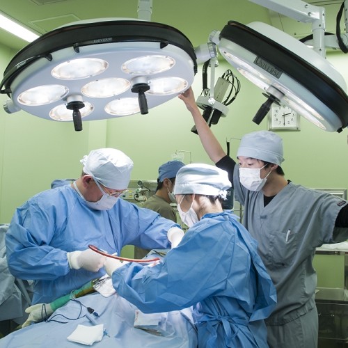 ���C���ʐ^