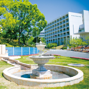 ���C���ʐ^