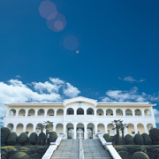 �V���{���I���݁A�}���x���[�z�[��