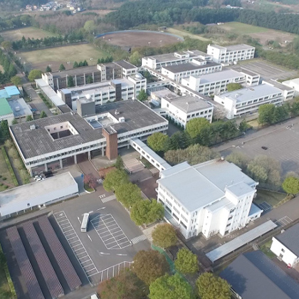 ���C���ʐ^