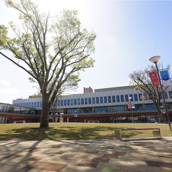 ���C���ʐ^