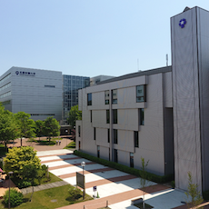 ���C���ʐ^