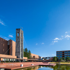 ���C���ʐ^