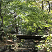 �l�G�܁X�̍ʂ�𐅖ʂɉf�����