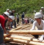 �n��v���̃{�����e�B�A�����{